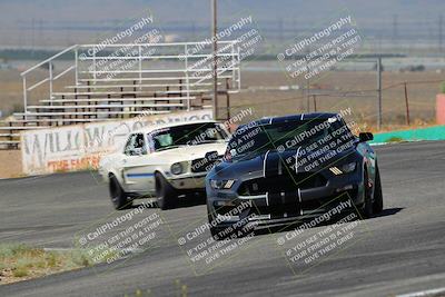 media/May-07-2022-Cobra Owners Club of America (Sat) [[e681d2ddb7]]/White/Session 1 (Turn 4)/